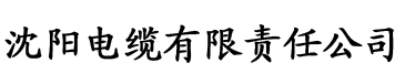 污污在线网站电缆厂logo